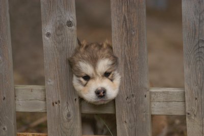 DSC_4124.JPG