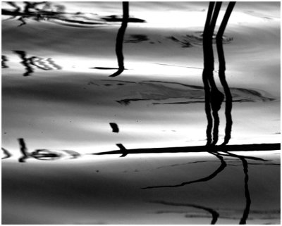Devin Sawyer, Reed Shadow & Reflection