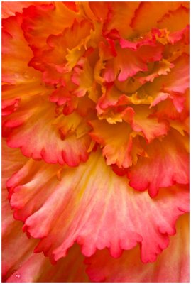Sue Hylen, Summer Smile
