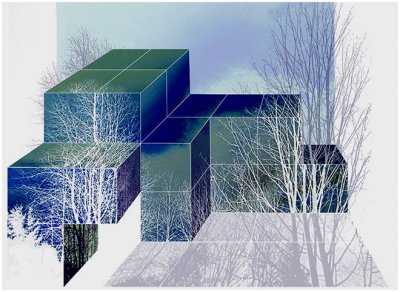 Suelyn Wong, Reflections