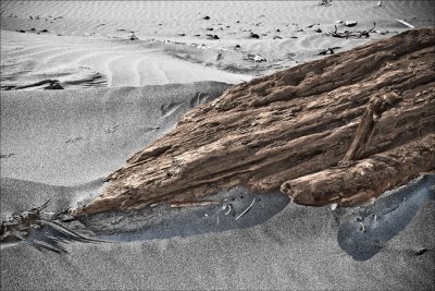 Norm Wooldridge, Beach Log