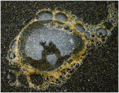 Devin Sawyer, Beach Bubble Self-Relection