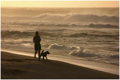 Jon Root: Beach And Best Friend