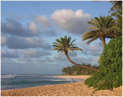 Jon Root: East Shore Delight