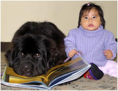 Sue Hylen: Three Cheers for Library Books