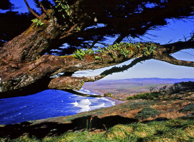 Norm Wooldridge: Point Reyes