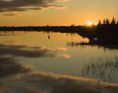 Hal Muhrlein: Michigan Sunset
