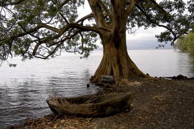 Genevieve Moyer: A Boat by the Lake