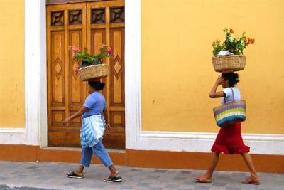 Genevieve Moyer: Flower Peddlers