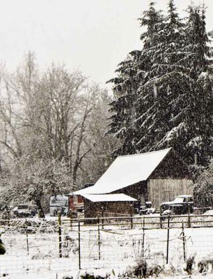 Chuck Murphy, Snow Falling on Scandia-Barn