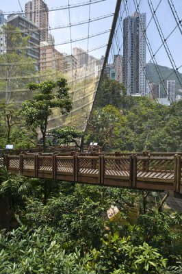 HK park aviary