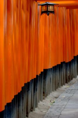 The torii of Fushimi Inari Shrine