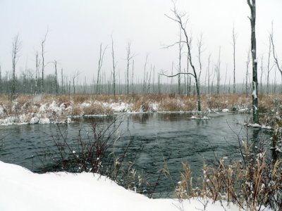 Raging creek