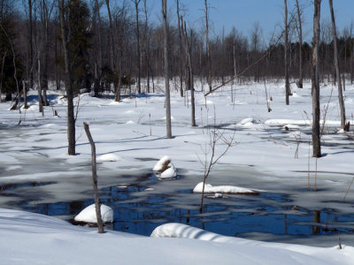 Early thaw