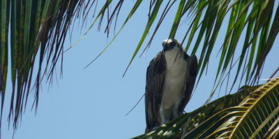 g3/29/471129/3/124503928.a6m3sRia.jpg