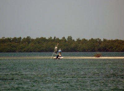 Osprey wasn't the only one fishing