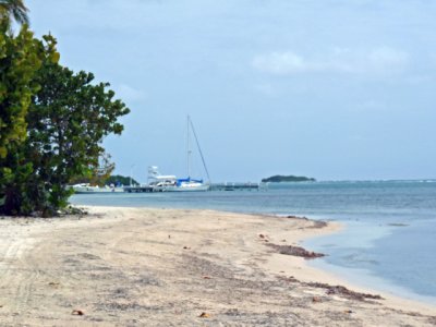 Scan the east side of the island towards the neighboring resort Blackbird Caye Resort.