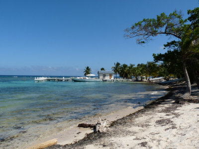 On the way to Blackbird Caye Resort & looking back at the Oceanic Field Station