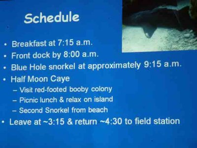 Plans for the big day snorkeling the Lighthouse Reef that surrounds the Blue Hole