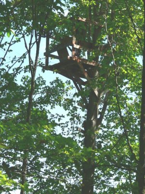 The 'lookout' for fly by's **unsafe to climb**