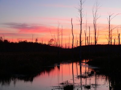 Sunset over the creek