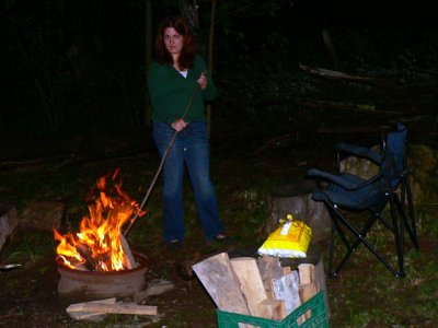  Stoking the bonfire