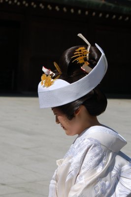 Shinto Serenity