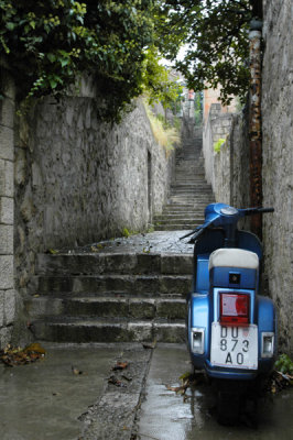 Little Scooter, Big Dreams