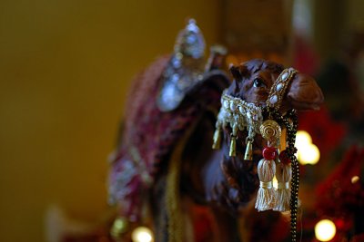 Christmas Camel
