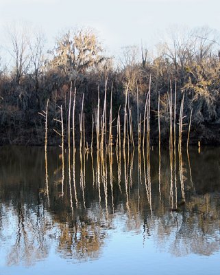 Reflection