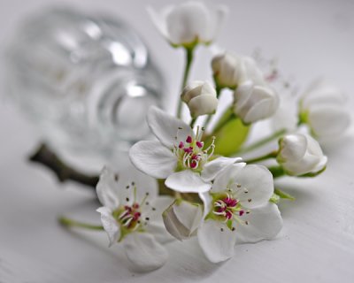 Pretty In White