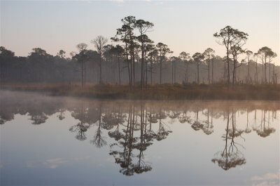 Morning Reflections