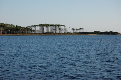 The Pines at Western Lake