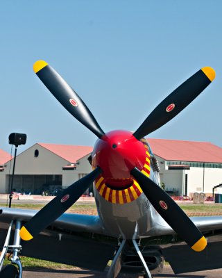 P-51 Nose View