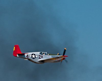 Tuskegee Airman