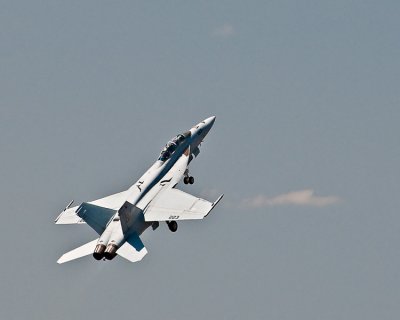 US Navy Hornet