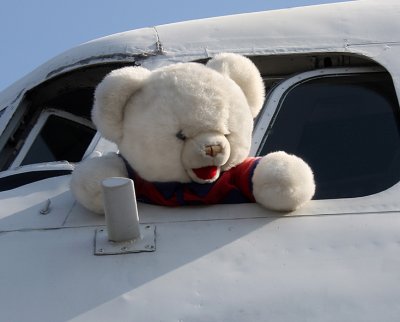 Yeah, I'm The Pilot.....SO WHAT?