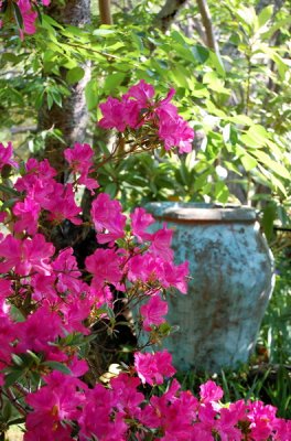 Olive Jar Among the Azaleas