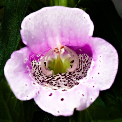 g3/29/473029/3/123851672.WJWSGjsQ.jpg