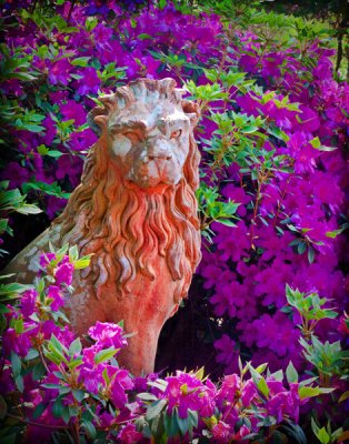 Jasmine Hill's Lion