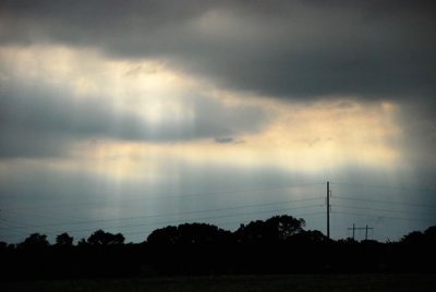 Sunlight