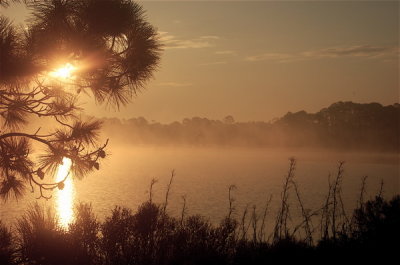 Good Mornin' Sunshine!