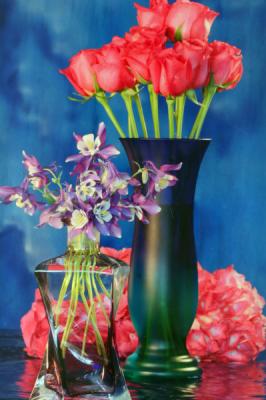Columbine Roses and Hydrangea