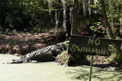 No  Swimming