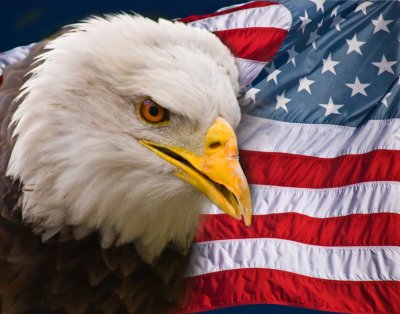 The Spirit of America