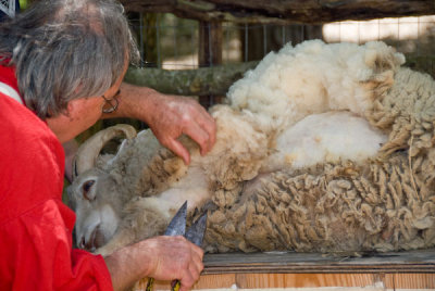Shearing the Hard Way