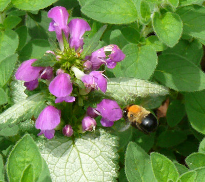 P1000555.JPG