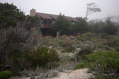 g3/29/498329/3/57081079.Asilomar2060024.jpg