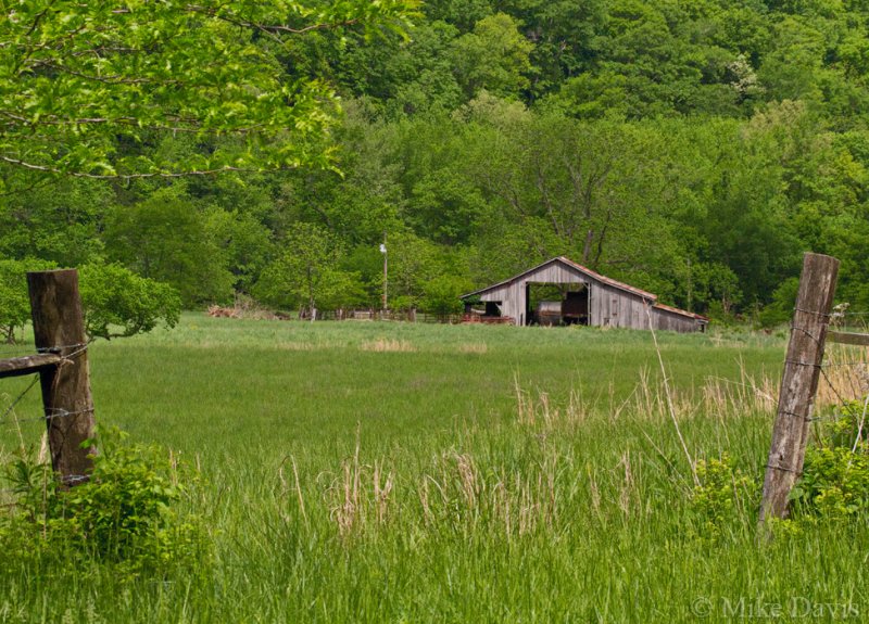 Spring Field