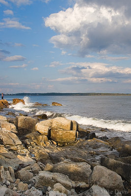 Shoreline